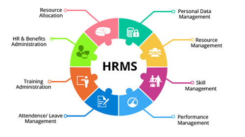 HR & Payroll Management
